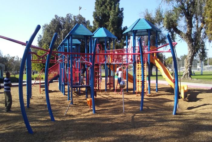 Photo #6