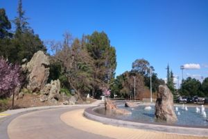 Photo of Los Altos Hills