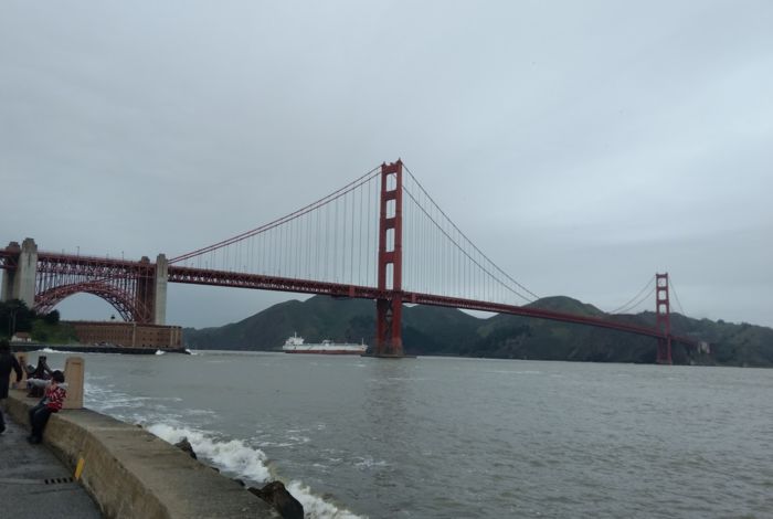 Photo #10