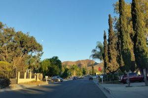 Photo of Home Gardens