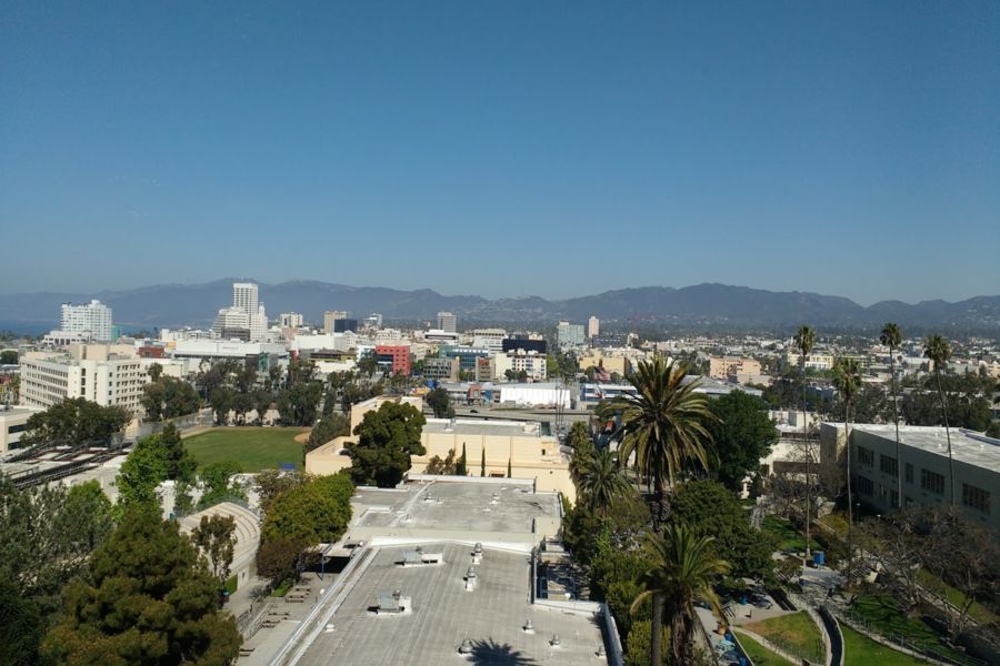 Photo #7