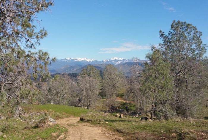 Photo #3