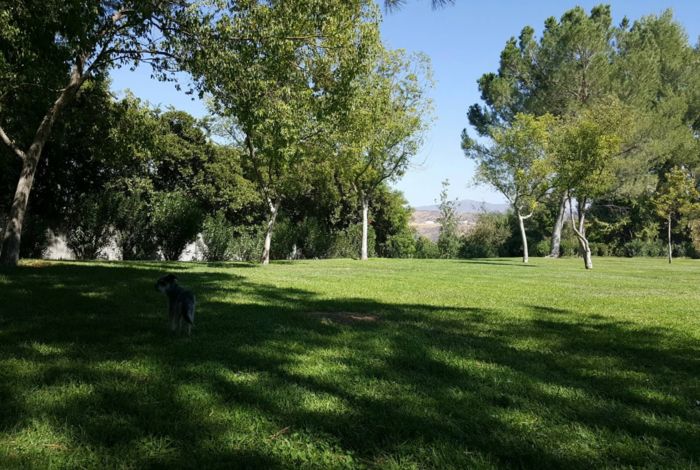 Photo #7