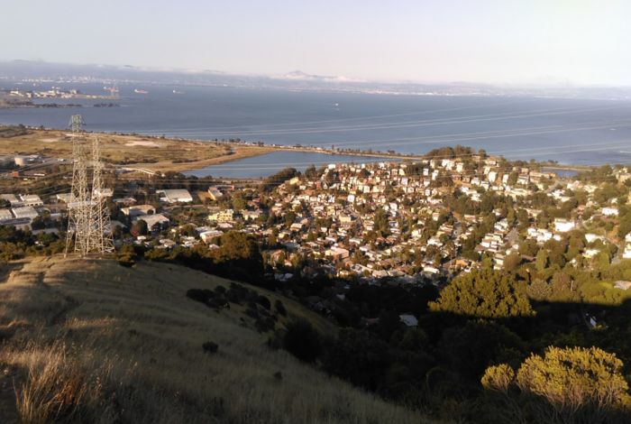 Photo #6