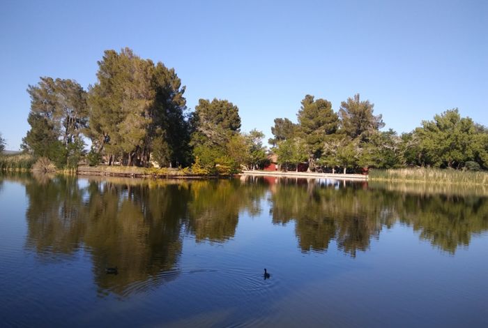 Photo #4