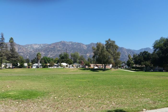 Photo #3