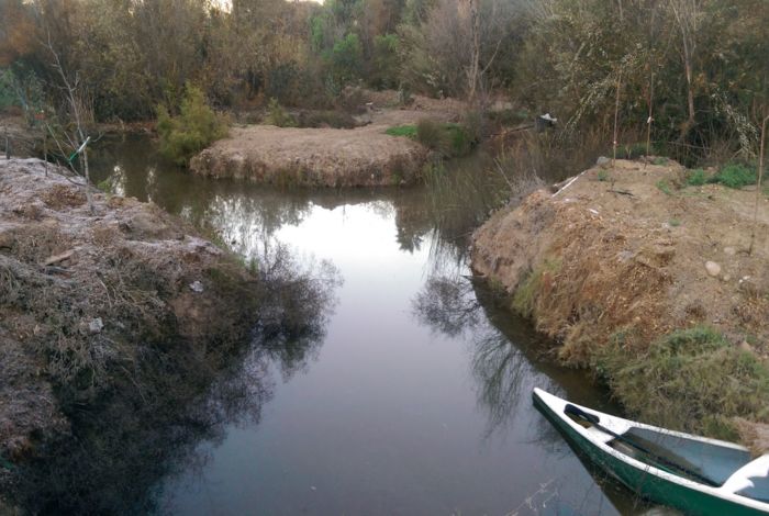 Photo #4
