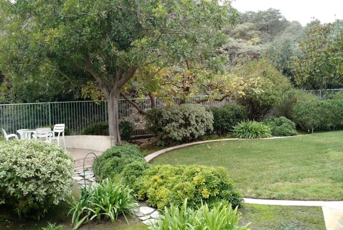 Photo #6