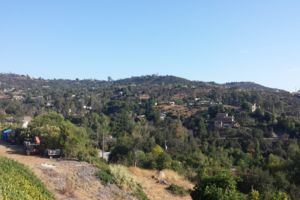 Photo #1