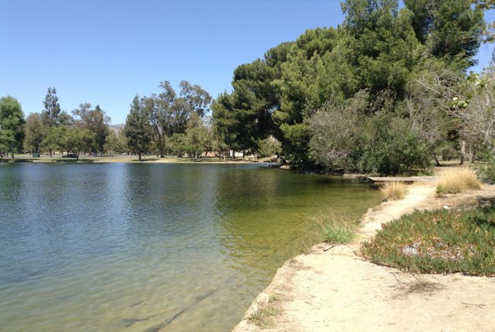 Photo #2