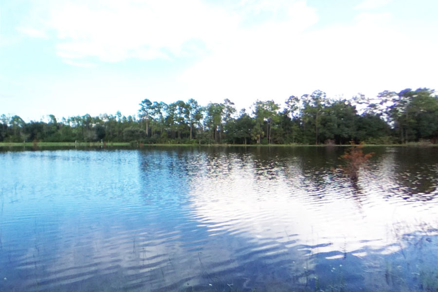 Photo #10