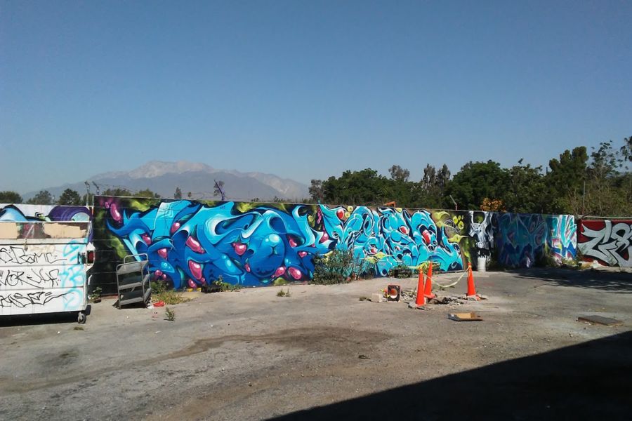 Photo #3