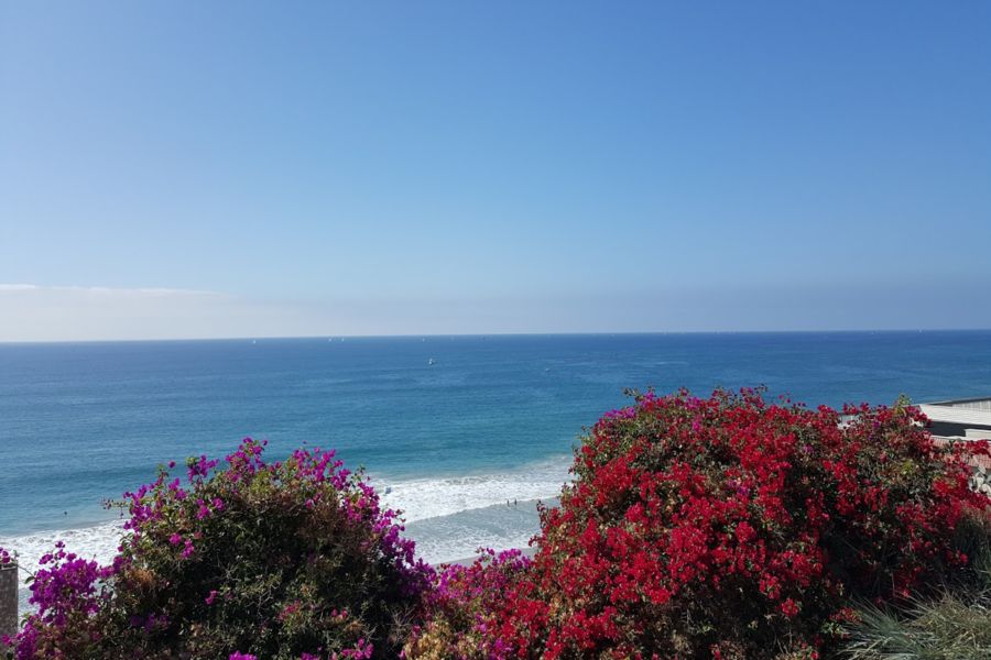 Photo #6