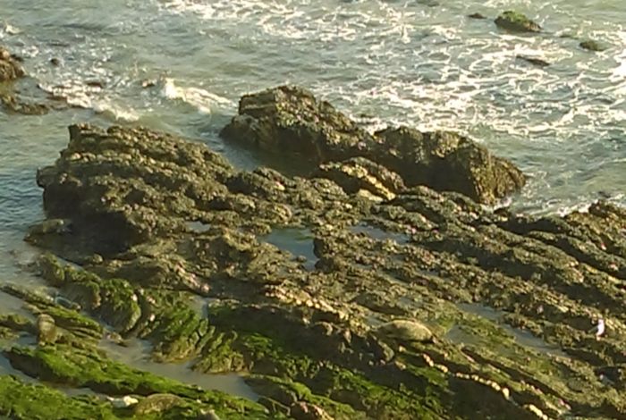 Photo #3