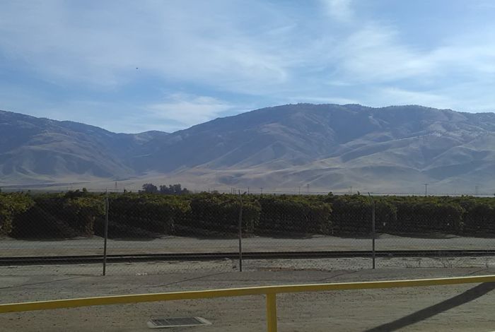 Photo #8