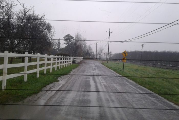 Photo #4