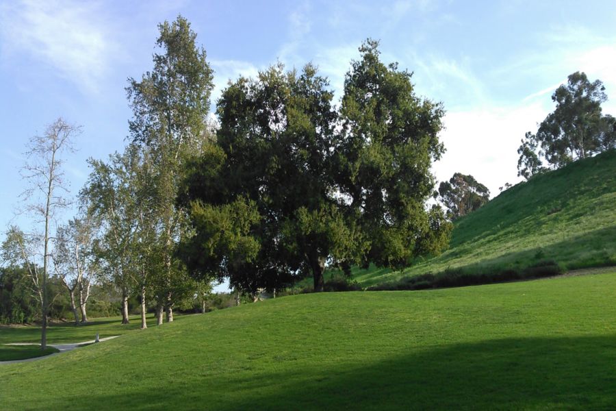 Photo #5