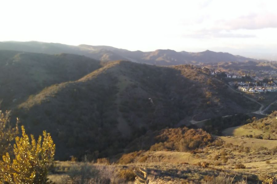 Photo #7