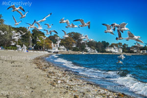 Photo #1