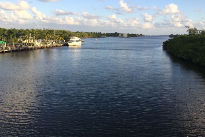 Photo #10