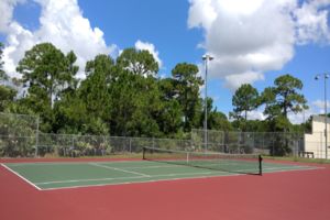 Photo of Palm City