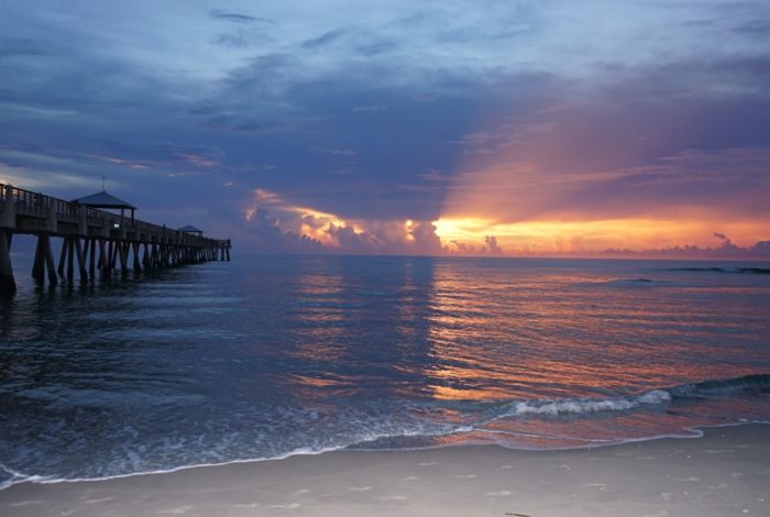 Photo #8