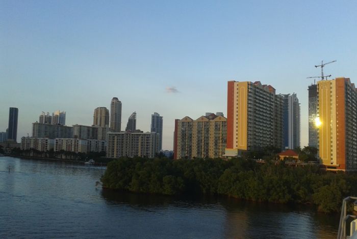 Photo #4