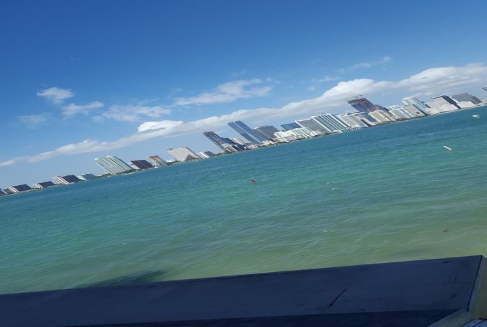 Photo #3
