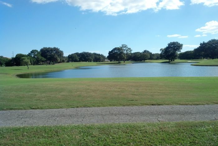 Photo #8