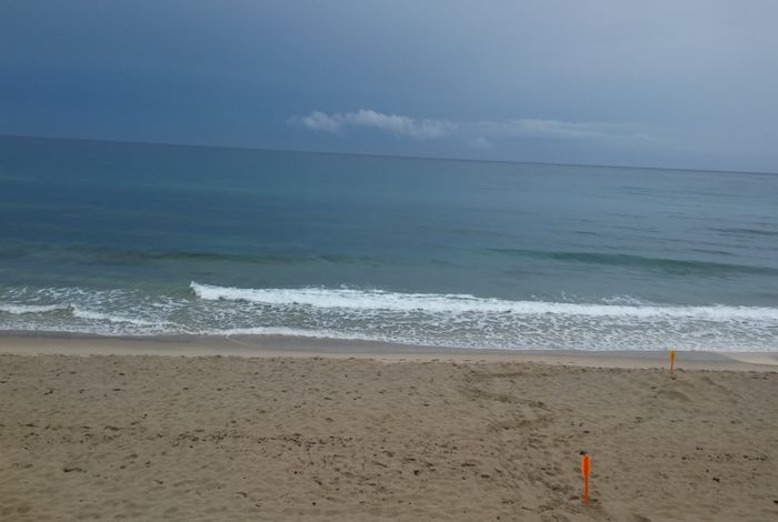 Photo #6