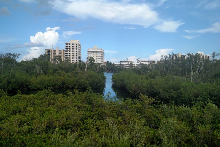 Photo #5