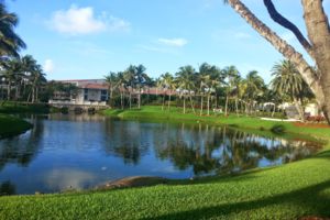 Photo of Doral
