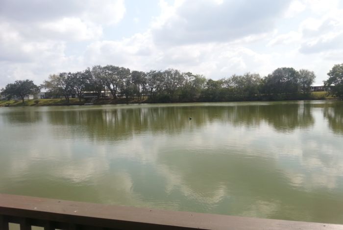 Photo #4