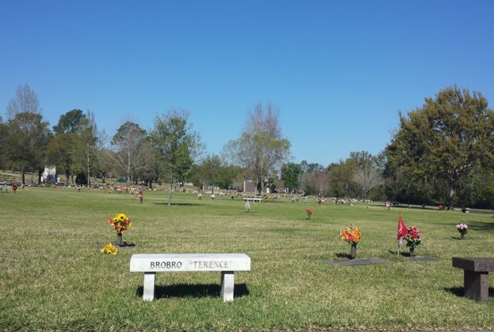 Photo #5