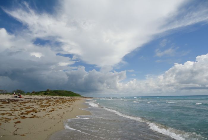 Photo #6