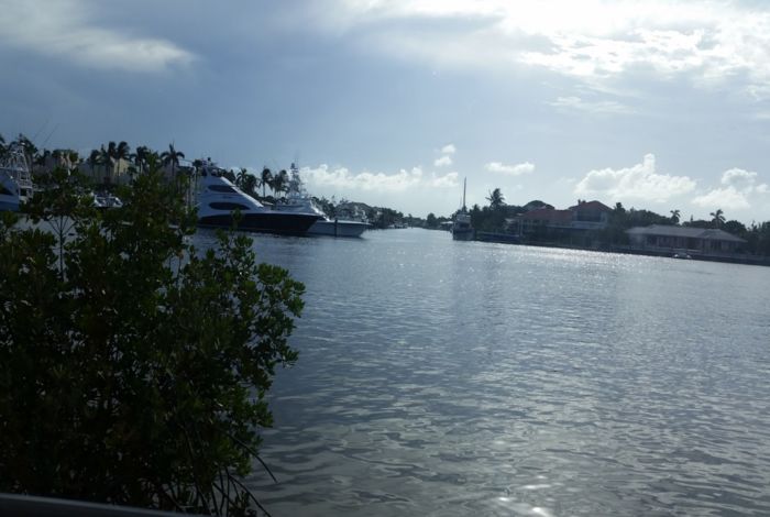 Photo #5