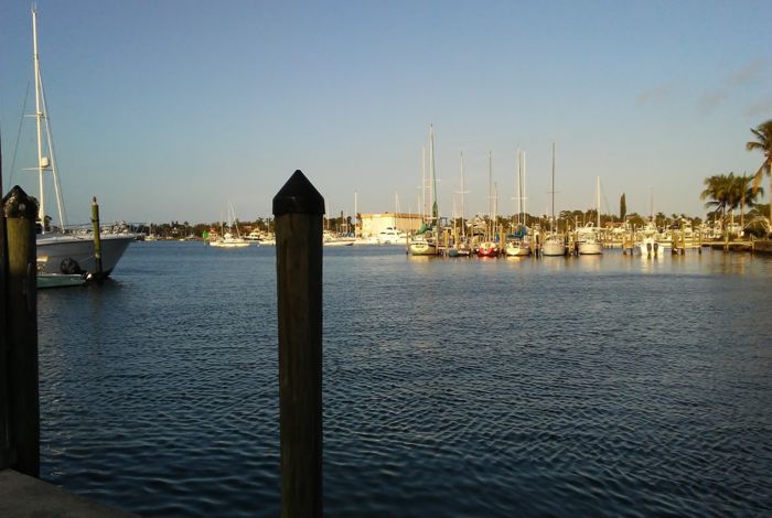 Photo #10