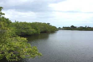 Photo of Limestone Creek