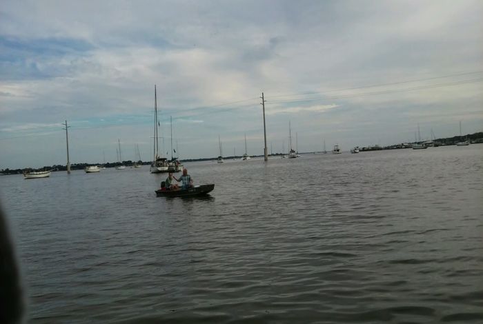 Photo #8