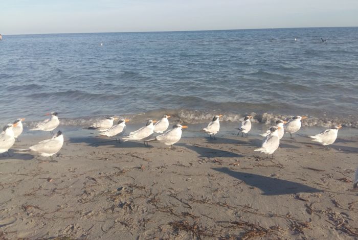 Photo #7