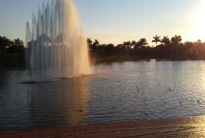 Photo #9