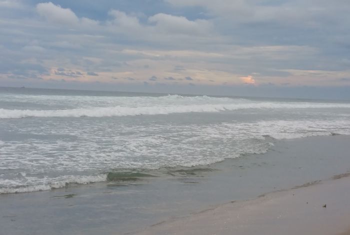 Photo #10