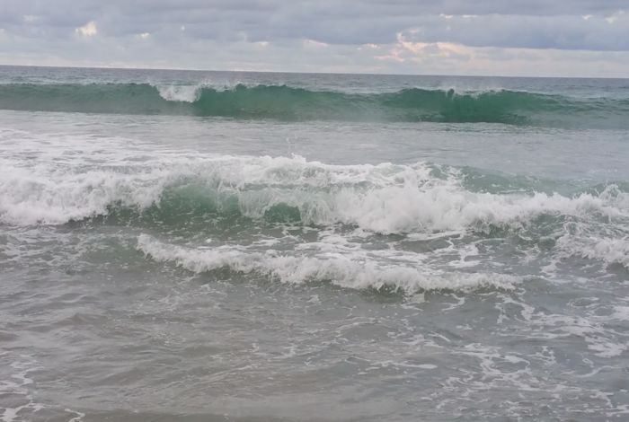 Photo #5