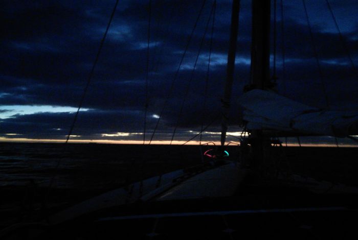 Photo #7