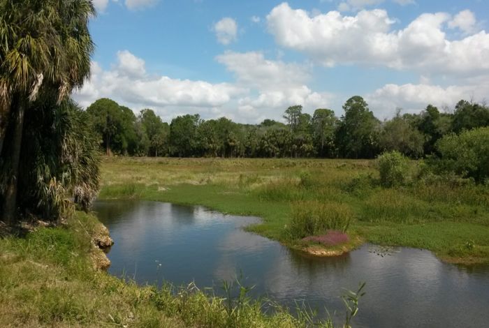 Photo #1