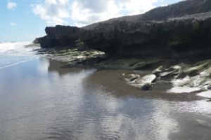 Photo of Jupiter Island