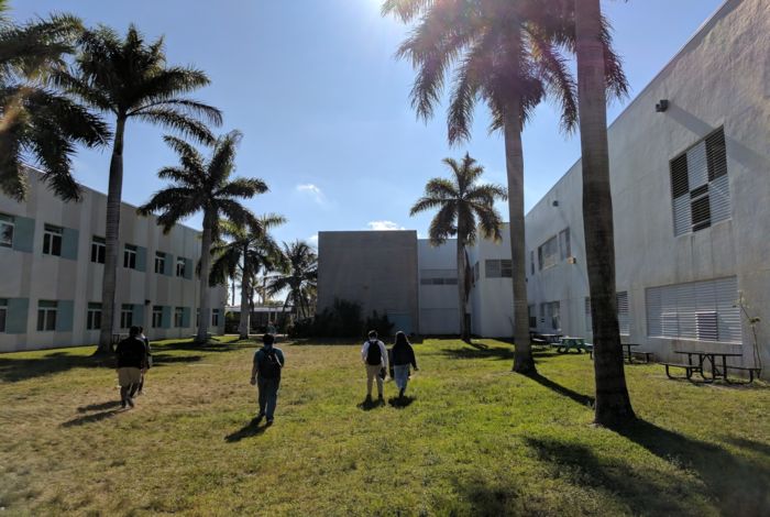 Photo #5