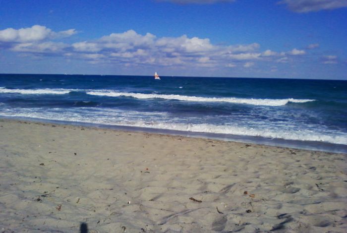 Photo #10