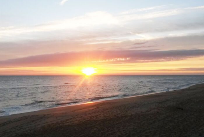 Photo #10