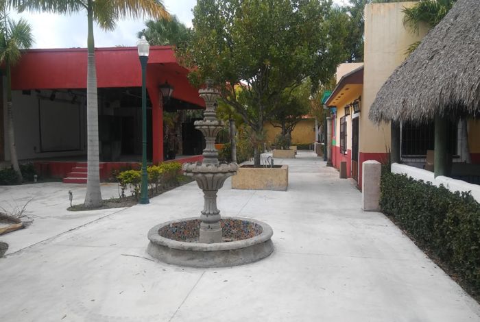 Photo #5